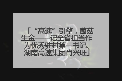 “高速”引擎，菌菇生金——记全省担当作为优秀驻村第一书记、湖南高速集团肖兴旺