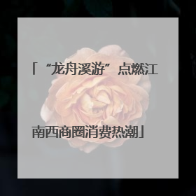 “龙舟溪游”点燃江南西商圈消费热潮