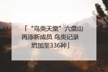 “鸟类天堂”六盘山再添新成员 鸟类记录增加至336种