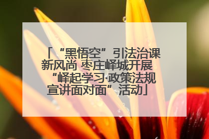 “黑悟空”引法治课新风尚 枣庄峄城开展“峄起学习·政策法规宣讲面对面”活动