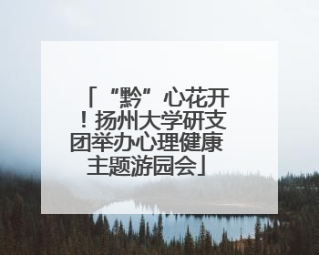 “黔”心花开！扬州大学研支团举办心理健康主题游园会