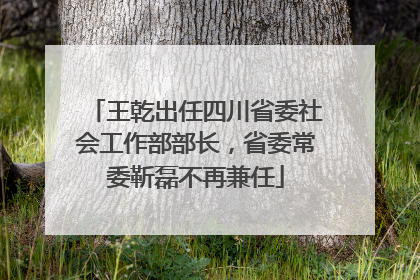 王乾出任四川省委社会工作部部长，省委常委靳磊不再兼任