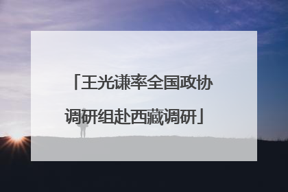 王光谦率全国政协调研组赴西藏调研