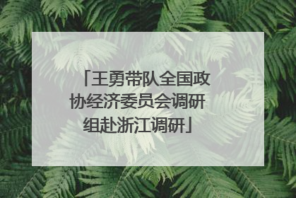 王勇带队全国政协经济委员会调研组赴浙江调研