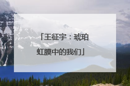 王征宇：琥珀虹膜中的我们