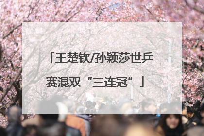 王楚钦/孙颖莎世乒赛混双“三连冠”
