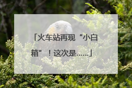 火车站再现“小白箱”！这次是……