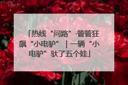 热线“问路”·管管狂飙“小电驴”｜一辆“小电驴”驮了五个娃