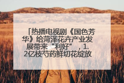 热播电视剧《国色芳华》给菏泽花卉产业发展带来“利好”，1.2亿枝芍药鲜切花绽放“国色芳华”