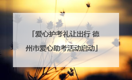 爱心护考礼让出行 德州市爱心助考活动启动