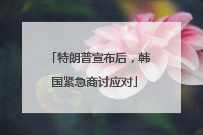 特朗普宣布后，韩国紧急商讨应对