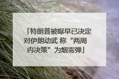 特朗普被曝早已决定对伊朗动武 称“两周内决策”为烟雾弹