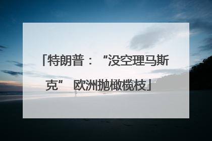 特朗普：“没空理马斯克” 欧洲抛橄榄枝