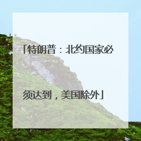 特朗普：北约国家必须达到，美国除外