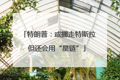 特朗普：或挪走特斯拉 但还会用“星链”