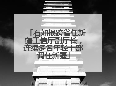 石如根跨省任新疆工信厅副厅长，连续多名年轻干部调任新疆