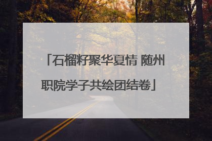 石榴籽聚华夏情 随州职院学子共绘团结卷