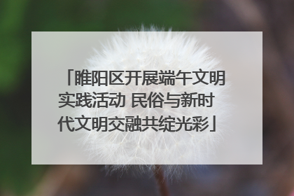 睢阳区开展端午文明实践活动 民俗与新时代文明交融共绽光彩