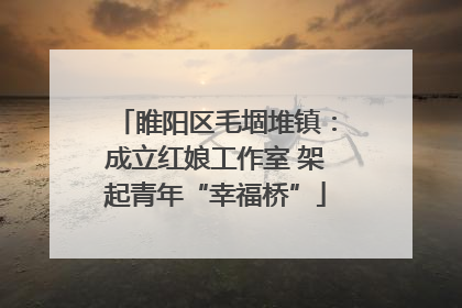 睢阳区毛堌堆镇：成立红娘工作室 架起青年“幸福桥”