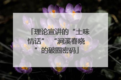 理论宣讲的“土味情话” “涧溪春晓”的破圈密码