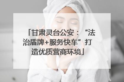 甘肃灵台公安：“法治盾牌+服务快车”打造优质营商环境