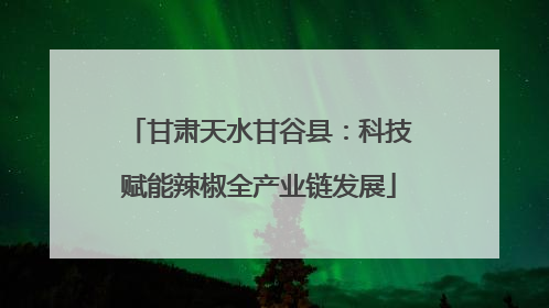甘肃天水甘谷县：科技赋能辣椒全产业链发展