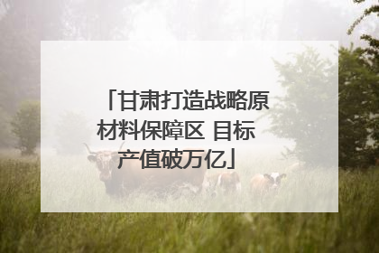 甘肃打造战略原材料保障区 目标产值破万亿