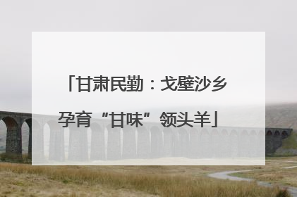 甘肃民勤：戈壁沙乡孕育“甘味”领头羊
