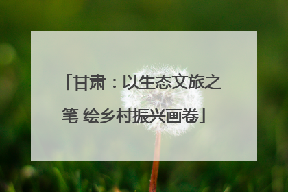 甘肃：以生态文旅之笔 绘乡村振兴画卷