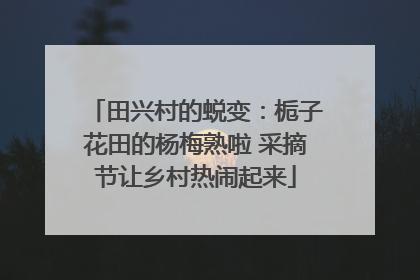 田兴村的蜕变：栀子花田的杨梅熟啦 采摘节让乡村热闹起来