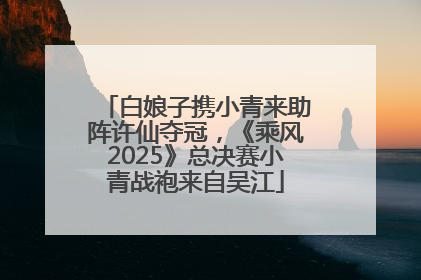 白娘子携小青来助阵许仙夺冠，《乘风2025》总决赛小青战袍来自吴江