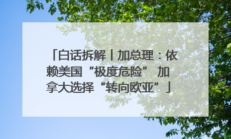 白话拆解丨加总理：依赖美国“极度危险” 加拿大选择“转向欧亚”