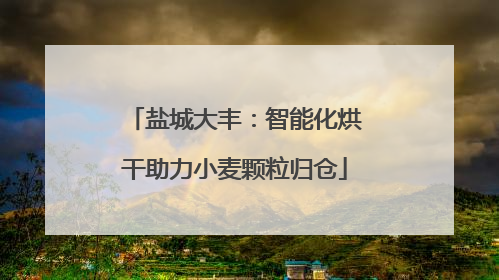盐城大丰：智能化烘干助力小麦颗粒归仓