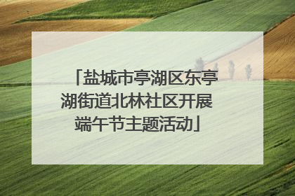 盐城市亭湖区东亭湖街道北林社区开展端午节主题活动