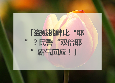 盗贼挑衅比“耶”？民警“双倍耶”霸气回应！