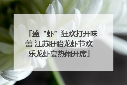 盛“虾”狂欢打开味蕾 江苏盱眙龙虾节欢乐龙虾宴热闹开席
