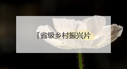 省级乡村振兴片区，西海岸+1