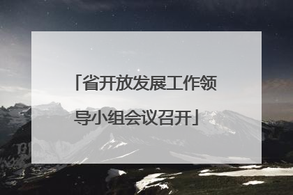 省开放发展工作领导小组会议召开