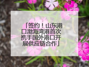 签约！山东港口渤海湾港首次携手国外港口开展供应链合作