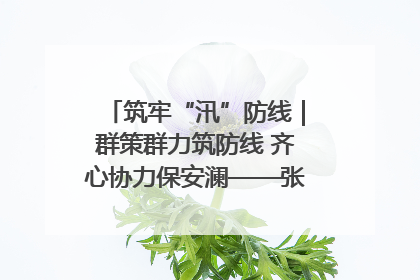 筑牢“汛”防线｜群策群力筑防线 齐心协力保安澜——张家界高新区上下众志成城迎战汛情
