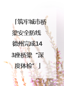 筑牢城市桥梁安全防线 德州完成143座桥梁“深度体检”