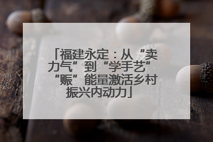 福建永定：从“卖力气”到“学手艺”“赈”能量激活乡村振兴内动力