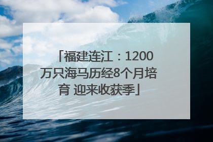福建连江：1200万只海马历经8个月培育 迎来收获季