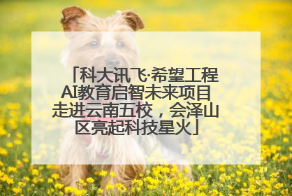 科大讯飞·希望工程AI教育启智未来项目走进云南五校，会泽山区亮起科技星火