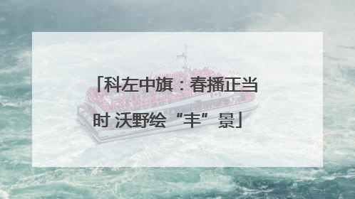 科左中旗：春播正当时 沃野绘“丰”景