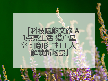 科技赋能文旅 AI点亮生活 猎户星空：隐形“打工人”解锁新场景
