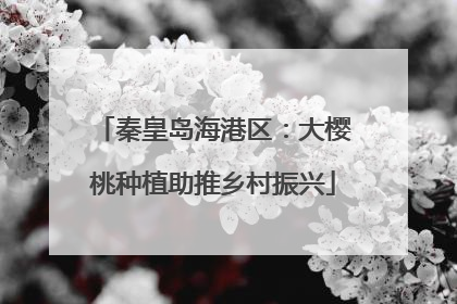 秦皇岛海港区：大樱桃种植助推乡村振兴