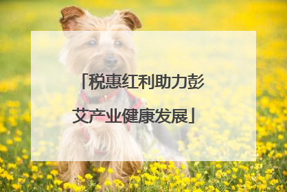 税惠红利助力彭艾产业健康发展