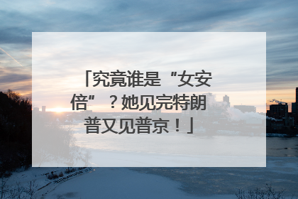 究竟谁是“女安倍”？她见完特朗普又见普京！