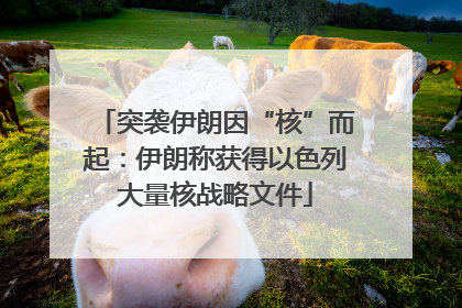 突袭伊朗因“核”而起：伊朗称获得以色列大量核战略文件